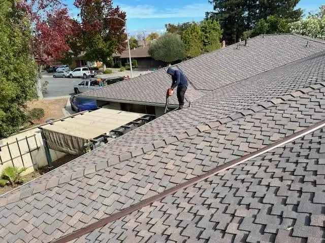 Roof maintenance